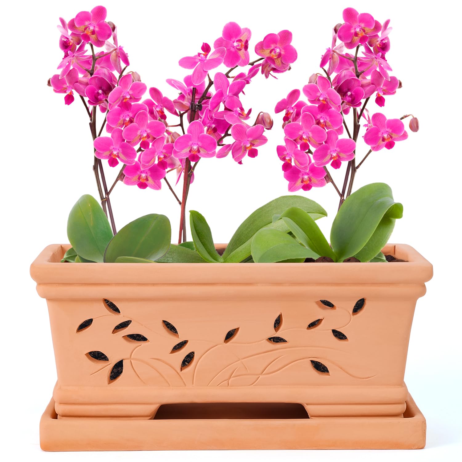 Amazon.com: 12 Inch Terra Clay Orchid Pots with Drainage Holes